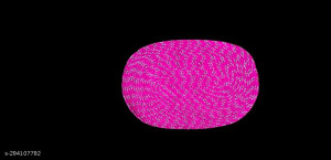 Braided Doormat Oval (Pink)