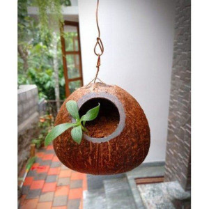 Eco-Friendly Coco Flower Pot (Center Whole Pot) Coconut Shell Crafts of Kerala for Home Decor