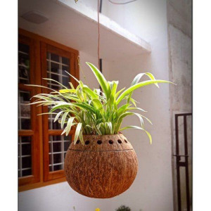 Eco-Friendly Handmade Black Flower Hanging Pot Brass Broidered Coconut Shell Crafts Of Kerala Set of