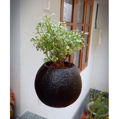 Eco-Friendly Beautiful Flower Hanging Pot Brass Broidered Coconut Shell Crafts Of Kerala Set of 2