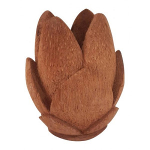Lotus Pot Coconut Shell Craft
