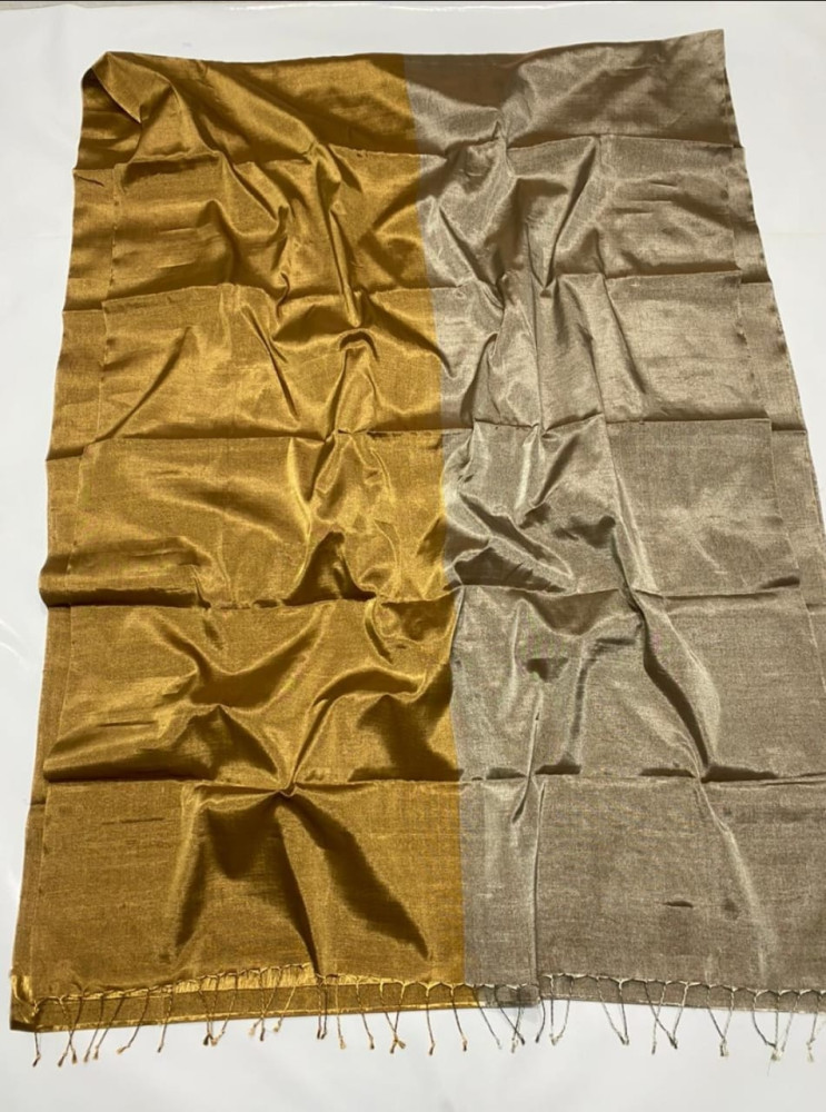 Classic Gold and Chrome Silver Chanderi Tissue Saree - 2