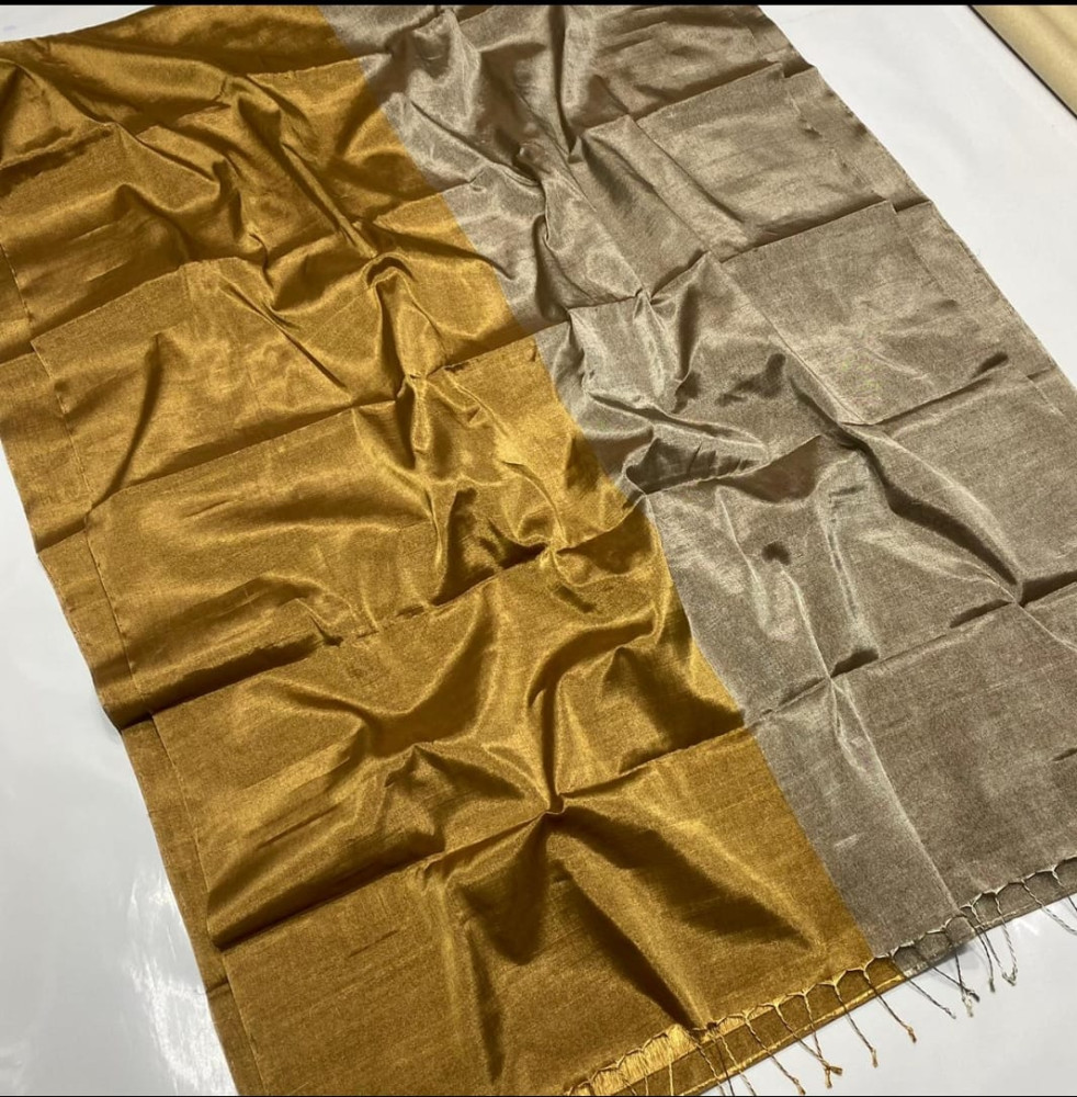 Classic Gold and Chrome Silver Chanderi Tissue Saree - 3
