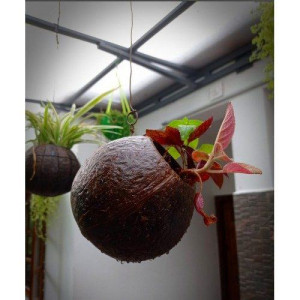 Eco-Friendly Handmade Flower Hanging Pot Brass Broidered Coconut Shell Crafts Of Kerala set of 2