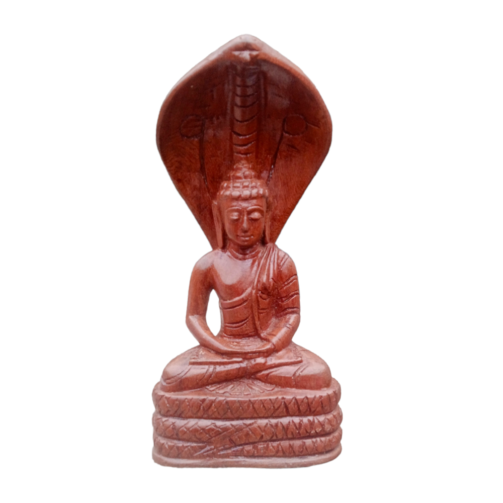 Gaya Wood Carving Lal kapur wood Sesh Naga Buddha