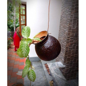 Handmade Eco-Friendly Flower Hanging Pot Brass Broidered Coconut Shell Crafts set of 2