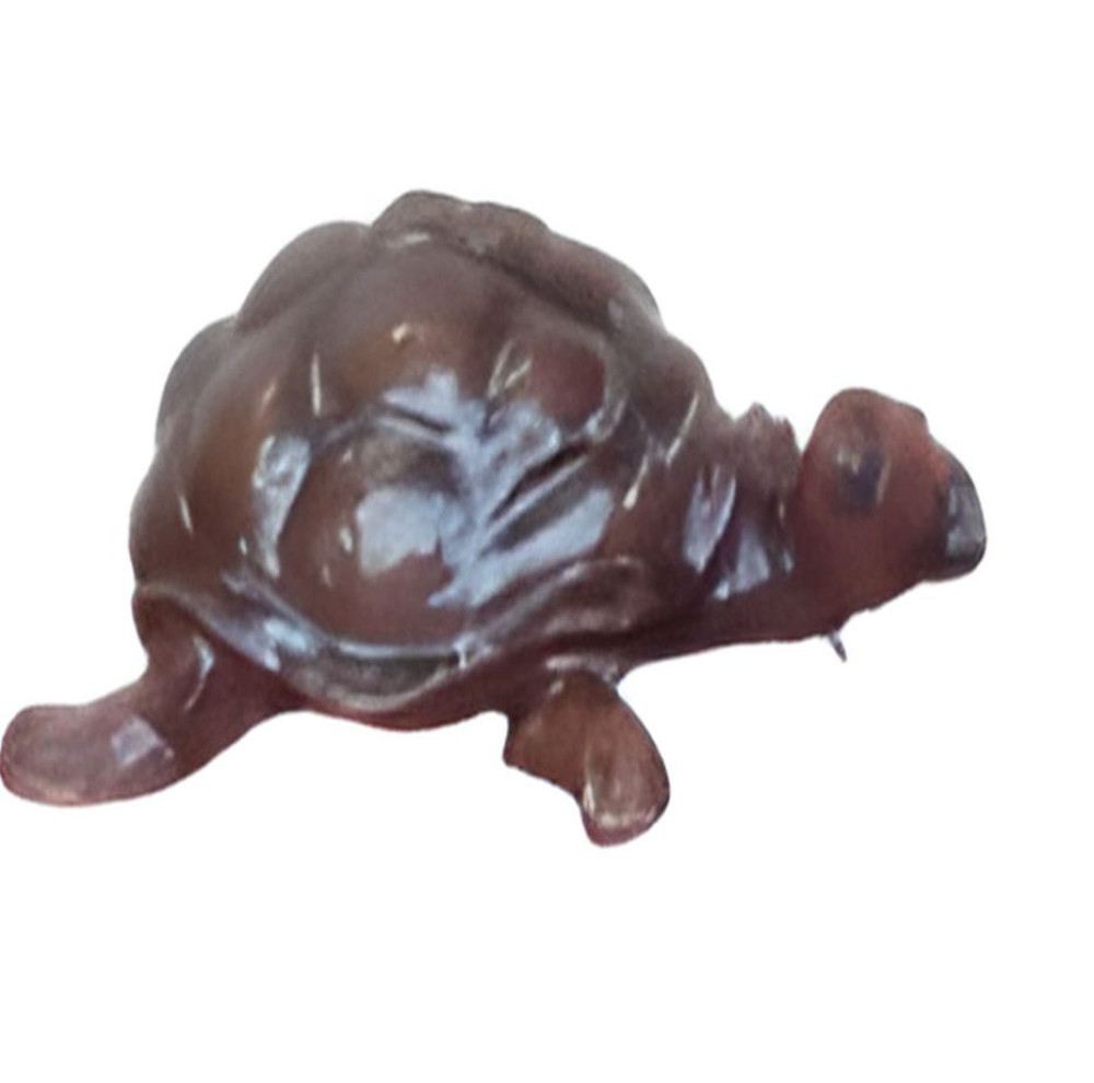 Leather Tortoise