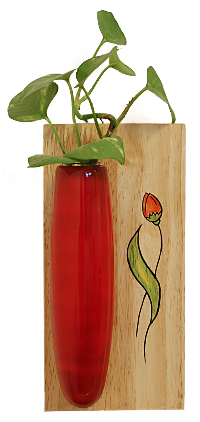 Wooden Home Decor Mini Wall Hanging Planter (Red)